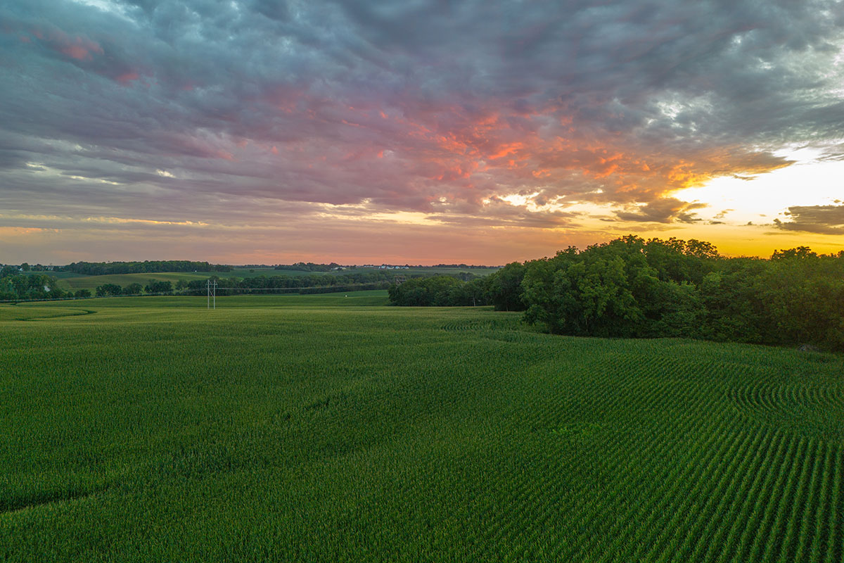 Aerial view of West Central Iowa farmland at sunset